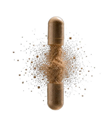 Open lion's mane capsule releasing mushroom powder