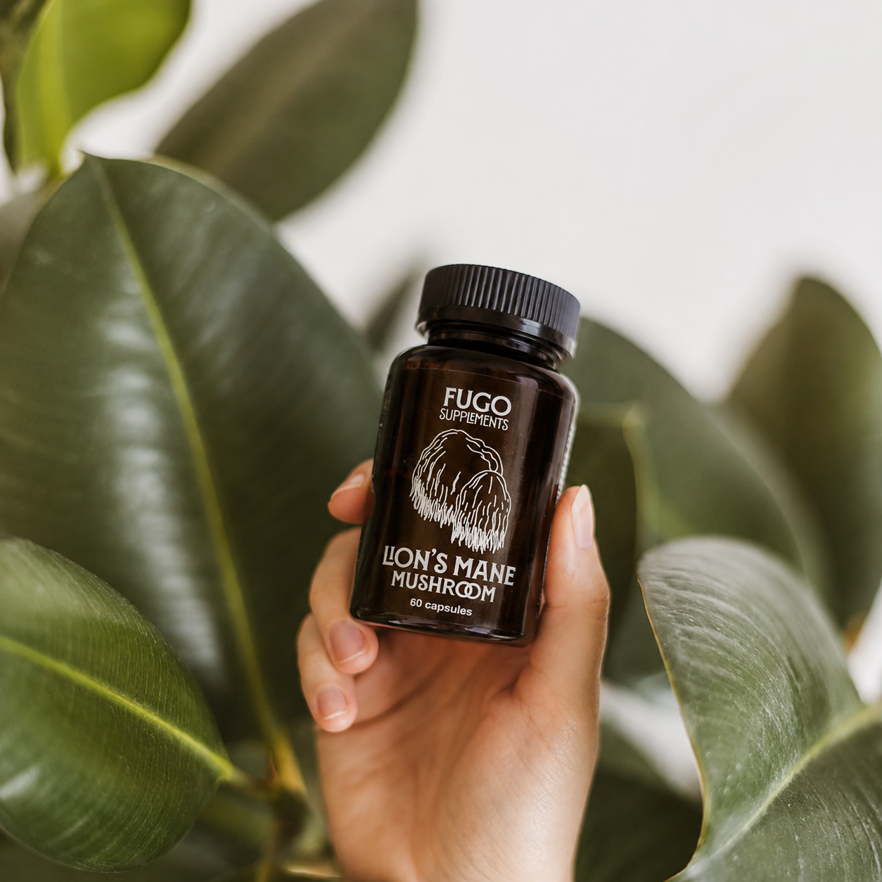 FUGO lion's mane supplement held among green leaves
